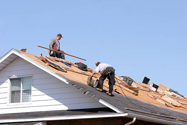 Hire the Best Roofing Company Near Me for Durable Roof Solutions